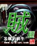 贼胆有几个女主