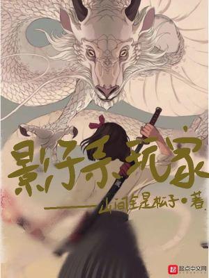 影子系统教程