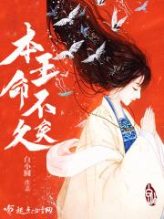 本王命不久矣txt盘