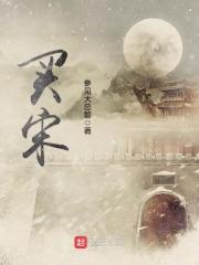 买宋plus十大忠告