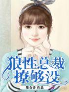 邪魅总裁用力追