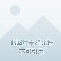 爱你不过一场荒唐全文免费阅读