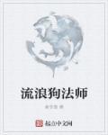 流浪法师是什么意思