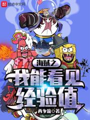 海贼之我能看见经验值的