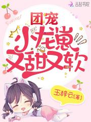 团宠小龙崽又甜又软 玉辞云