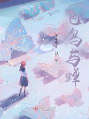 飞鸟与蝉mp3