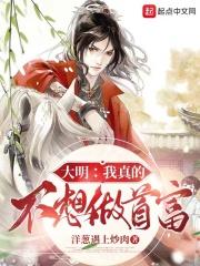 我真不想做大亨燃文