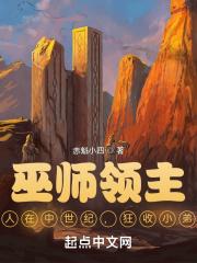 领主巫师123