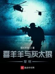 喜羊羊与灰太狼光明与黑暗
