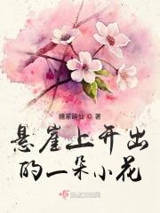 悬崖上能开的花
