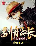 重生海贼王之副船长的