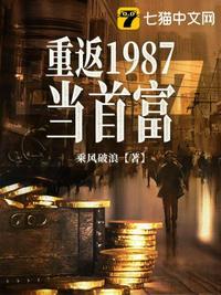 重返1987当首富李秀成txt