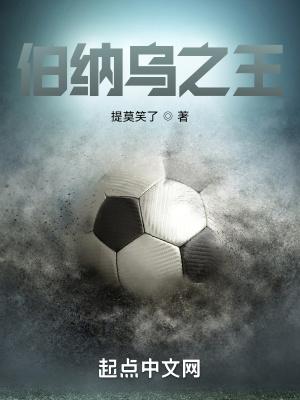 伯纳乌王子劳尔