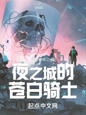 夜之城的苍白骑士夜读库