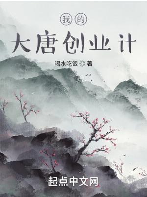 我的大唐创业计划