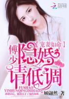 洛南初傅庭渊全文作者