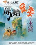 原始部落宠妻无度