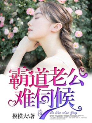 霸道老公惹不起