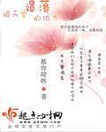 被遗忘的天堂完结