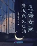 穿成爽文里的恶毒女配 小言不吃西瓜