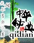 中华秘典pdf百度