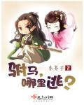 驸马好吗