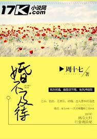 婚不及待全文阅读