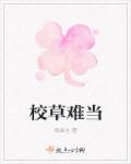 校草太厉害了怎么破