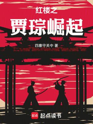 红楼之贾琮崛起txt全文免费阅读