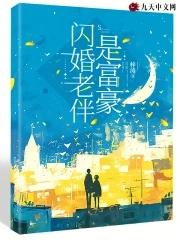 闪婚老公是总裁的电视剧