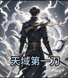 哪套是天域