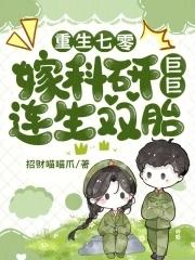 重生七零双胞胎