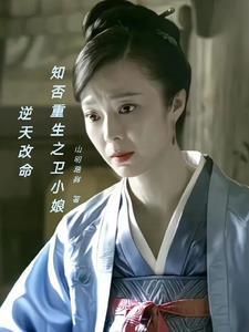 知否卫小娘同人文