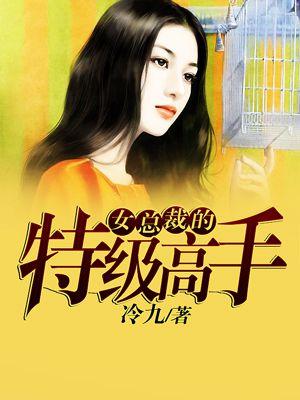女总裁的超级高手主角