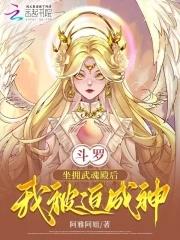 站位武魂殿的斗罗同人