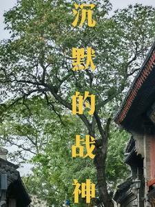 沉默的圣战漫画