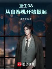 重生08从山寨机开始崛起篱笆