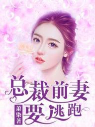 总裁前妻哪里逃