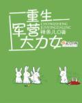 重生军营的女强