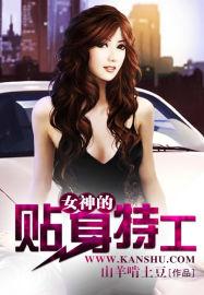 女神的贴身特工梁七少