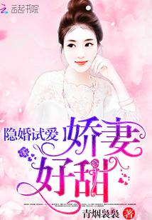 宠妻365式