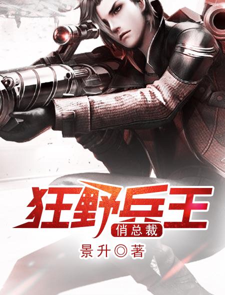 狂野兵王