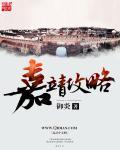 嘉靖发生了什么