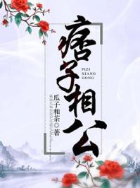 痞子相公剧透