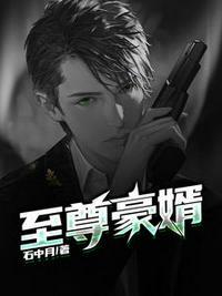 至尊神婿叶昊郑漫儿在线阅读