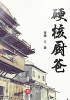 硬核厨爸txt平板