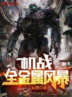 机战全金属风暴 第2377章