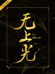 无上光电子(东莞)有限公司