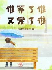 谁等了谁多少年全部