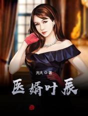 医婿叶辰免费阅读